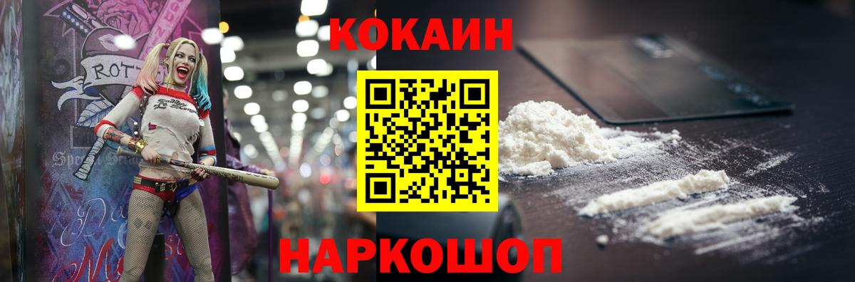 наркошоп  Вход с VPN  Выборг  COCAIN FishScale  COCAIN Fish Scale 